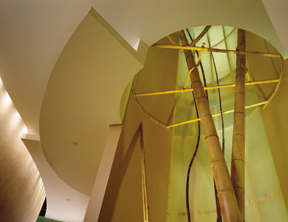Earth Quadrant View of Ceiling Planes and Opening with Bamboo Sculpture to Floor Above