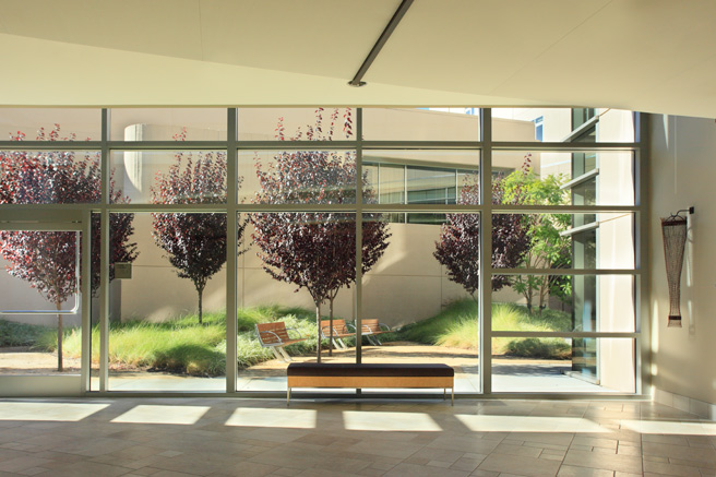 View Toward Courtyard Garden