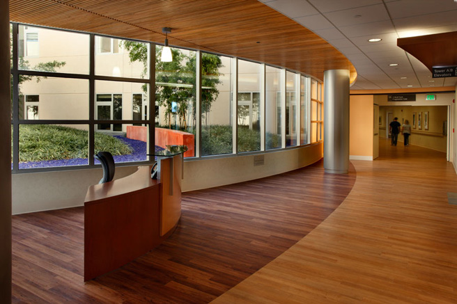 Greeter Desk and Corridor to Critical Care Unit