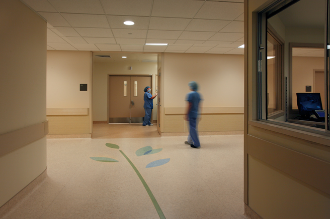 Main Entrance to Operating Rooms